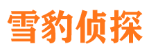 秦皇岛侦探公司